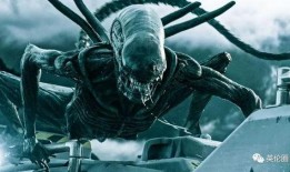 外媒最新爆料外星人,外媒最新爆料揭示宇宙奥秘